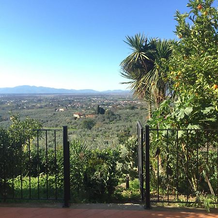 Agriturismo Podere Rondinaio Lamporecchio Εξωτερικό φωτογραφία