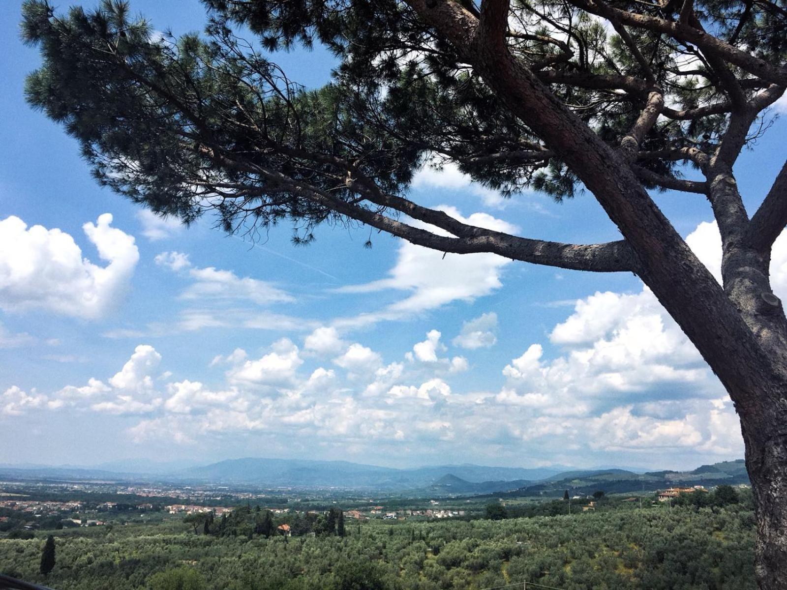 Agriturismo Podere Rondinaio Lamporecchio Εξωτερικό φωτογραφία