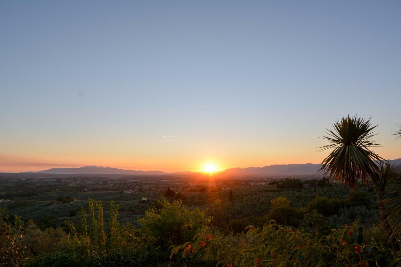 Agriturismo Podere Rondinaio Lamporecchio Εξωτερικό φωτογραφία