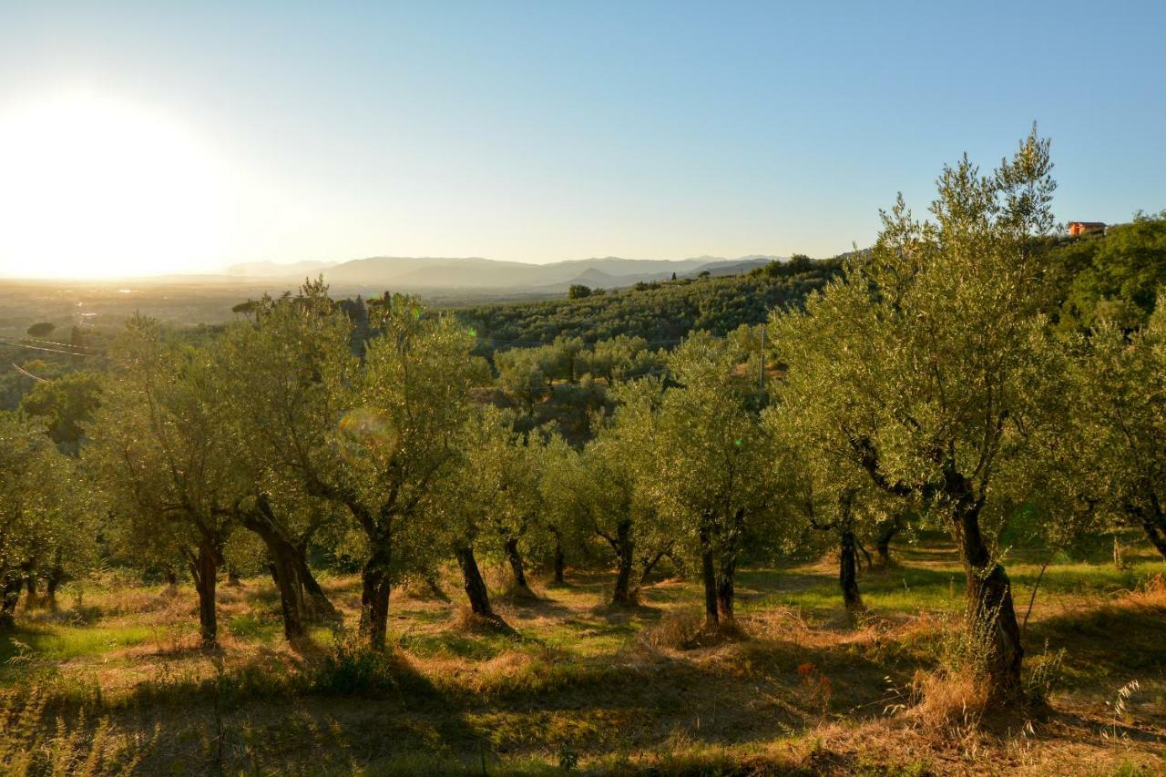 Agriturismo Podere Rondinaio Lamporecchio Εξωτερικό φωτογραφία